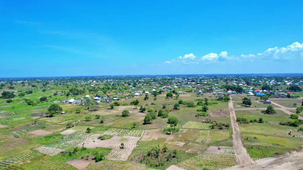 bagamoyo 1024x576